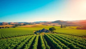 Experience the beautiful clarksburg ca weather with bright skies and lush landscapes.